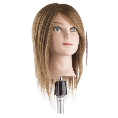 TESTINA STUDIO ALTA DENSITA' MEDIO...