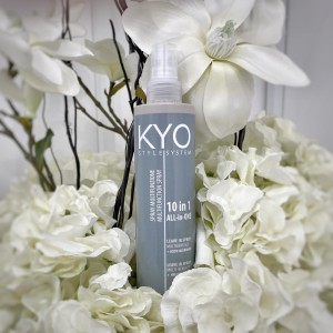 SPRAY MULTIFUNZIONE 10 IN 1 -  250 ML KYO 2
