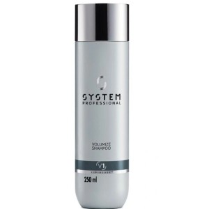 SYSTEM PROFESSIONAL...