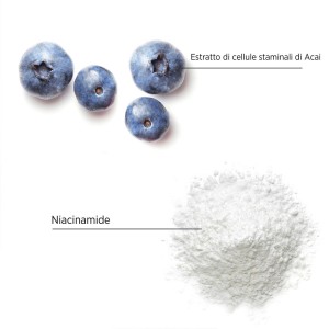 SYSTEM PROFESSIONAL... 2