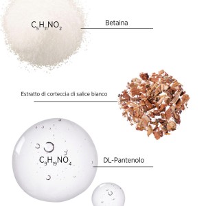 SYSTEM PROFESSIONAL BALANCE... 2