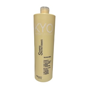 https://www.carusohairstore.it/img/kyo-restruct-system-shampoo-1000-ml.jpg