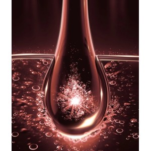 BALSAMO FULL RESIST 250 ML ELVIVE L'OREAL 2