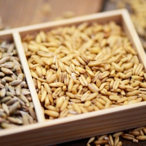 Kyo CleanseSystem shampoo lt.1 2