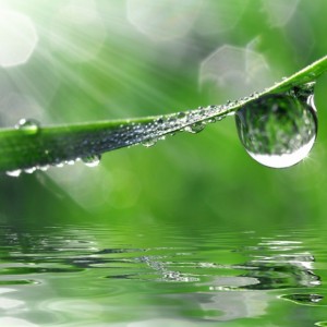 KYO Restruct System shampoo 250ml 2