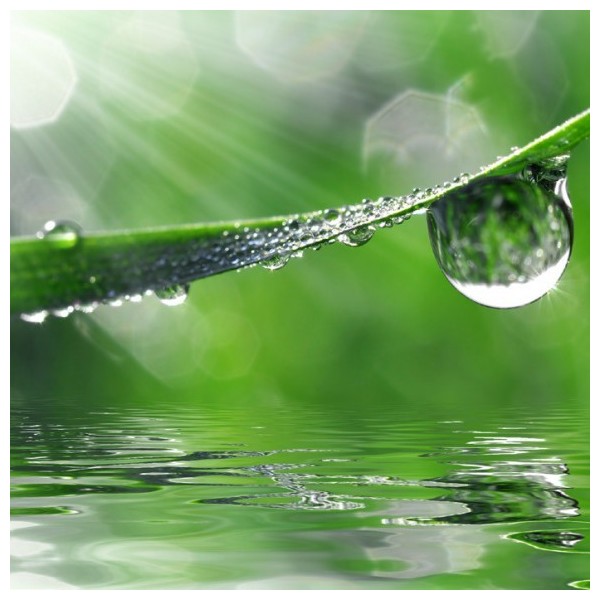 KYO – Restruct System shampoo 250ml.