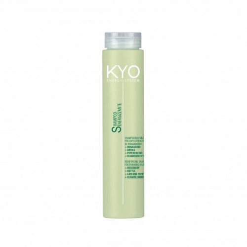 Kyo Energy System shampoo 250ml.