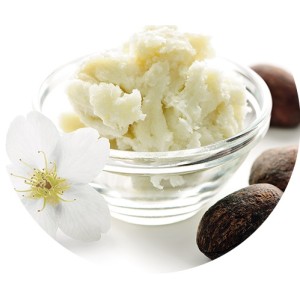 Geomar Fruity Nährende Körpercreme Feige & Vanille 400 ml – Feuchtigkeitspflege mit Sheabutter 2