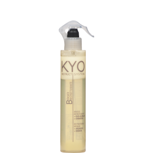 BIFASICO RESTRUCT SYSTEM 250 ML KYO