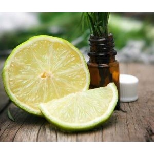 SHAMPOO BALANCE SYSTEM 500 ML KYO 2