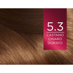 EXCELLENCE 5.3 CASTANO... 2