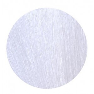NEW COLOR UP SILVER BLOND 150 ML ECHOS LINE 2