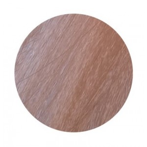 NEW COLOR UP GOLDEN ROSE 150 ML ECHOS LINE 2