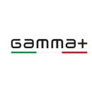 GAMMA+
